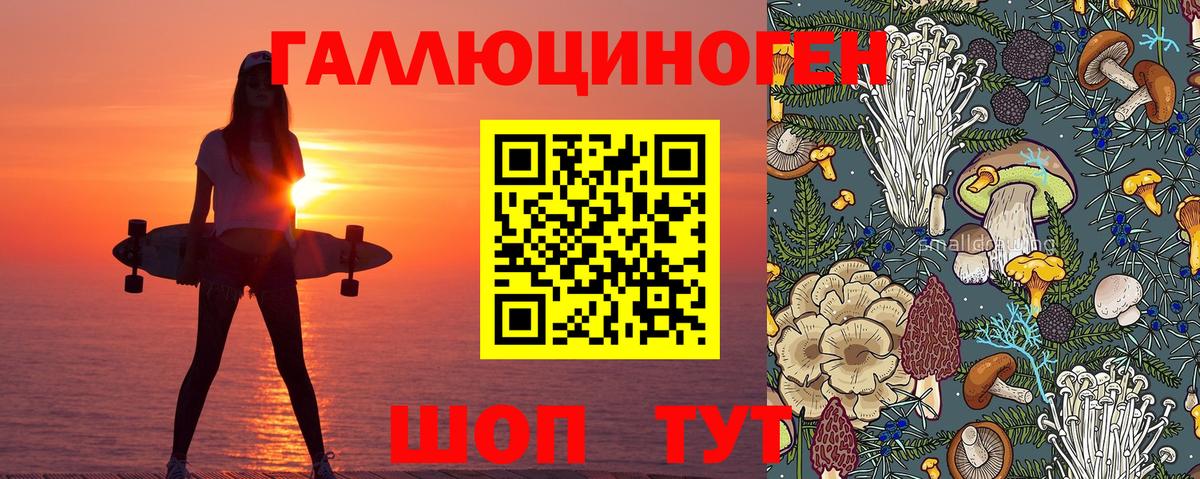 Псилоцибиновые грибы GOLDEN TEACHER  Галлюциногенные грибы Magic Shrooms  Дубна  Вход с VPN 